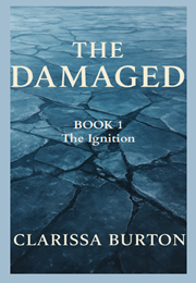 The Damaged Book 1 - The Ignition (Paperback)