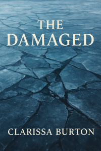 The Damaged Novelette Series